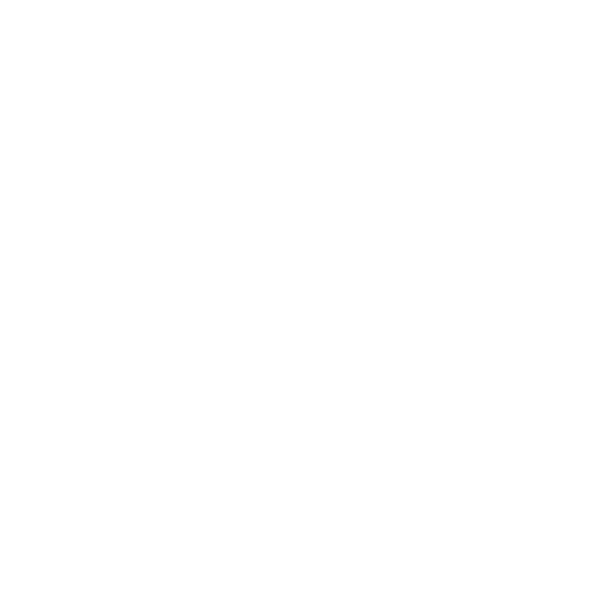 MEM Logo